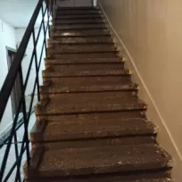 Nefes site yönetimi ve temizlij