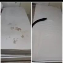 Yerinde koltuk Yıkama