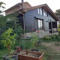 Mecy Dekor dünyası