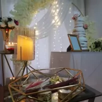 Muallim Organizasyon