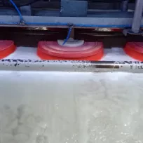 Umut Halı & Koltuk Yıkama