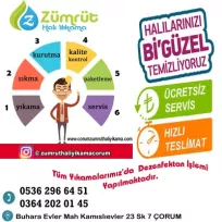 Zümrüt halı yıkama Fabrikası