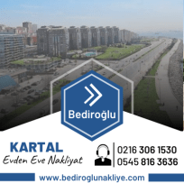 Metin Bediroğlu