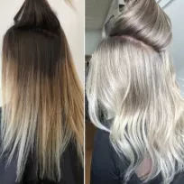 Saloonveysel Saloonveysel