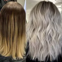 Saloonveysel Saloonveysel