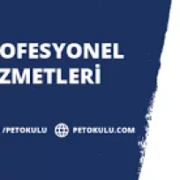 Pet Okulu Profesyonel Köpek Eğitimi ve Köpek Oteli