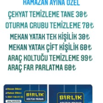 Birlik koltuk Temizleme