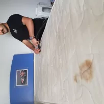 Titizler Modern Ev Halı koltuk yıkama