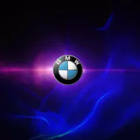 F35 Bmw mini servisi