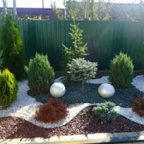 Dönüşüm Peyzaj Mimarlığı