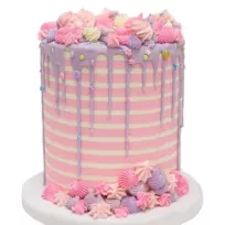 Bekir çağrı Baransel