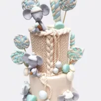 Bekir çağrı Baransel