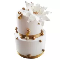 Bekir çağrı Baransel