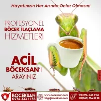 Böceksan  kutahya bocek ilaclama ve dezenfektan hizmetler