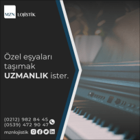 Evden Eve Uzmanı