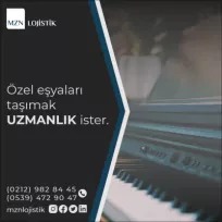 Evden Eve Uzmanı