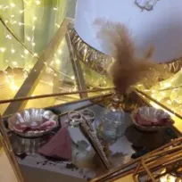 lily_organizasyon organizasyon