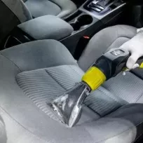 LOTUS BUHARLI KOLTUK YIKAMA