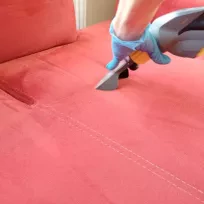 LOTUS BUHARLI KOLTUK YIKAMA