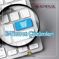 ALTIEYLÜL ENERJİ VE KİMYA SAN DIŞ TİC LTD ŞTİ