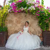 Palmiyem Prodüksiyon