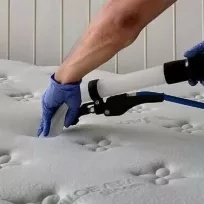 Gürbüz Halı ve Koltuk Yıkama Gürbüz