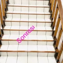 Mustafa Yavuz ÇOLAK