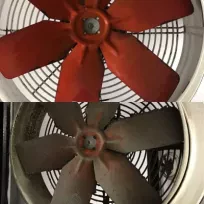 Mustafa Yavuz ÇOLAK