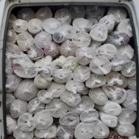 My park halı & koltuk yıkama