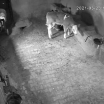 NetCan Güvenlik Sistemleri