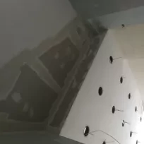 Mehmet şirin İçen