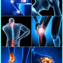 Medihost sağlık hizmetleri