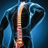 Medihost sağlık hizmetleri