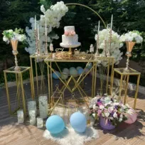 Elit_ Organizasyon 1