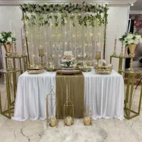 Elit_ Organizasyon 1