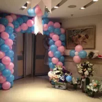 Elit_ Organizasyon 1