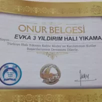 YILDIRIM HALI KOLTUK YIKAMA