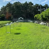 ORGANİZASYON MELEKLERİ