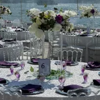 ORGANİZASYON MELEKLERİ