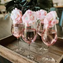 ORGANİZASYON MELEKLERİ