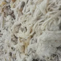 Eryaman Halı Yıkama