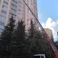 Başak Asansörlü Nakliyat