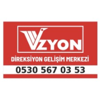 Vizyon özel direksiyon geliştirme merkezi