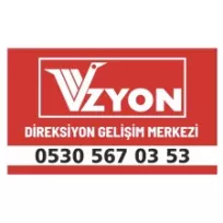 Vizyon özel direksiyon geliştirme merkezi