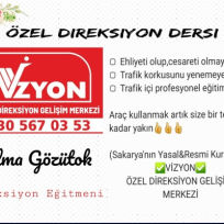 Vizyon özel direksiyon geliştirme merkezi