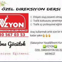 Vizyon özel direksiyon geliştirme merkezi