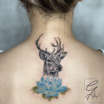 (EGA) Enver Gökçe AKYOL