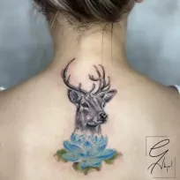 (EGA) Enver Gökçe AKYOL