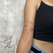 (EGA) Enver Gökçe AKYOL