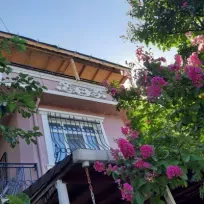 Musa Usta